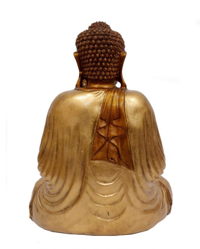 50cm Thay Buddha