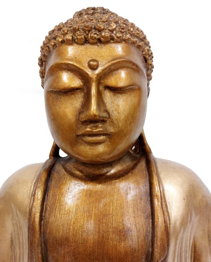 50cm Thay Buddha
