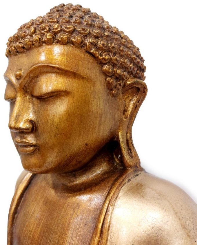 50cm Thay Buddha