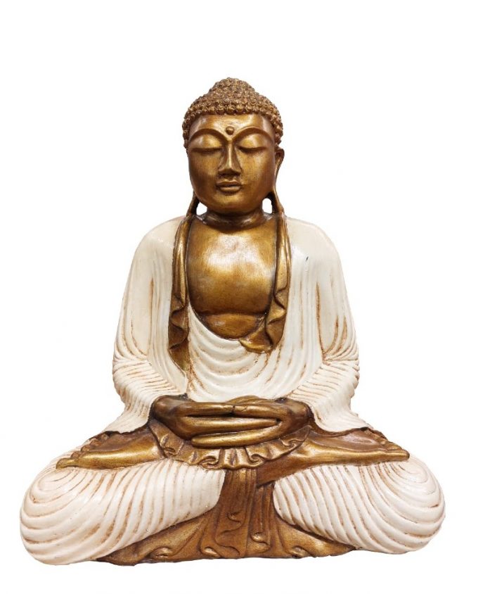 50cm Thay Buddha