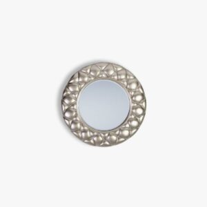 Sunita Mirror