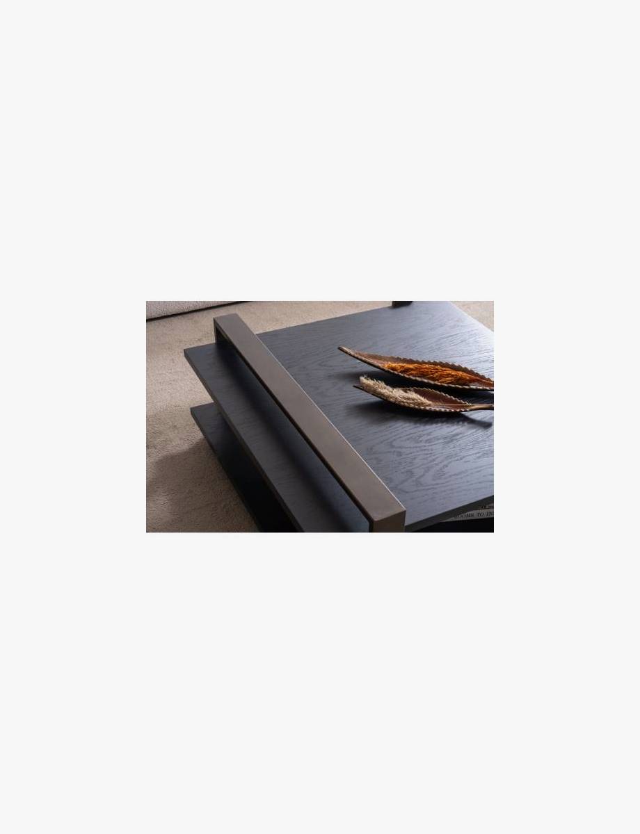 Tonia Coffee Table 6