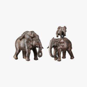 Tarangire Elephant - B