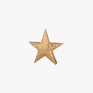Carved Star - H22cm