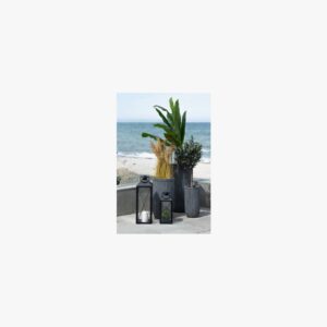 6407470