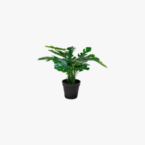 Monstera Artificial Plant 2