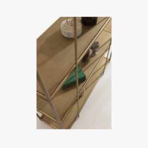 Lion Shelving