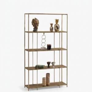 Lion shelving 2 hires
