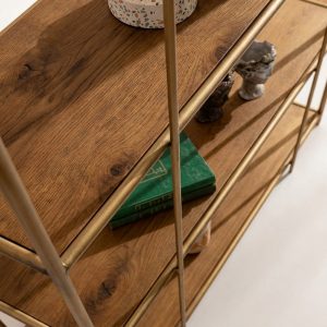 Lion shelving 3 hires