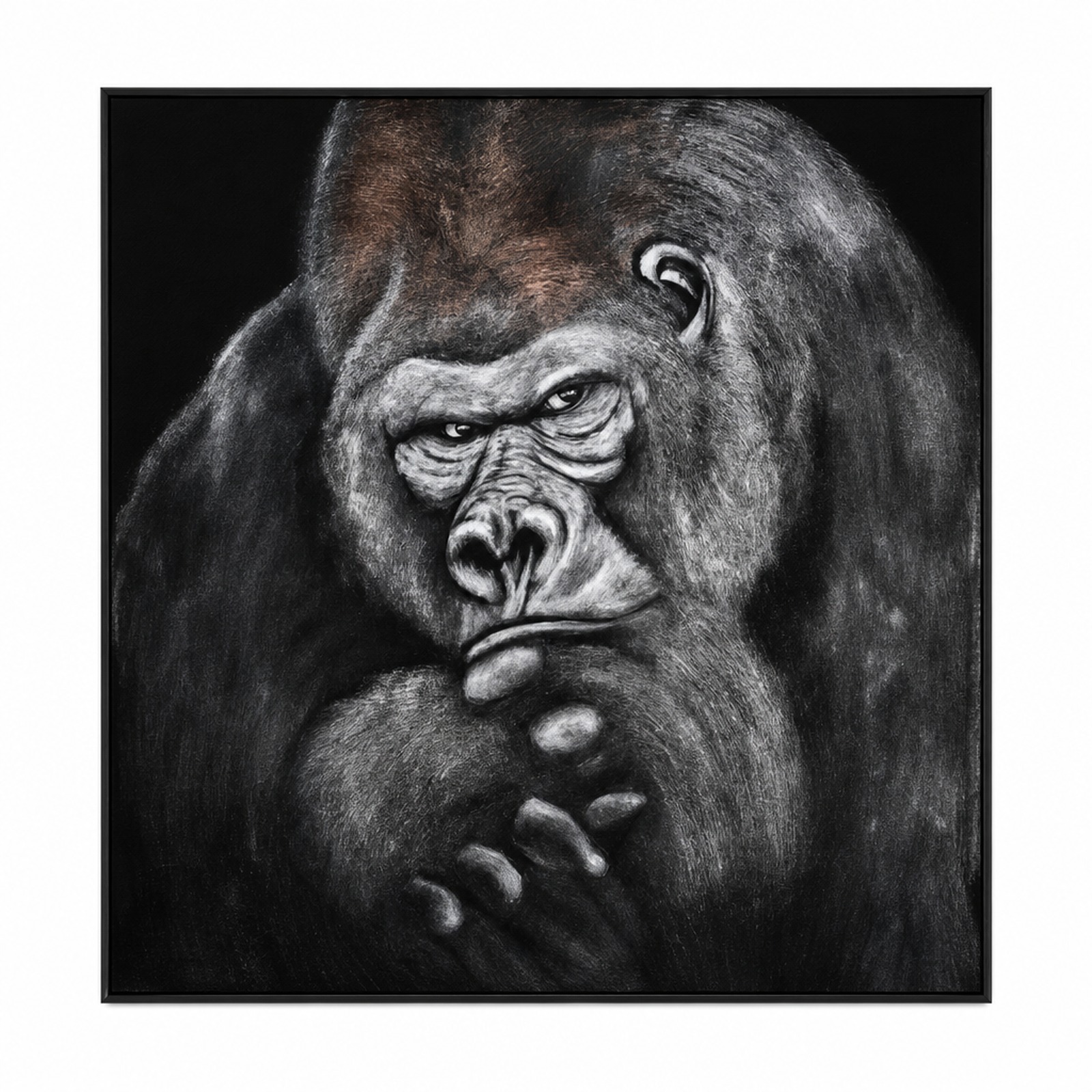 Unamused gorilla hires